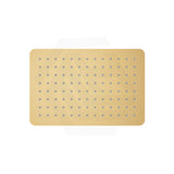 Fienza Koko Stainless Steel Rectangular Shower Head Variant Colour Available