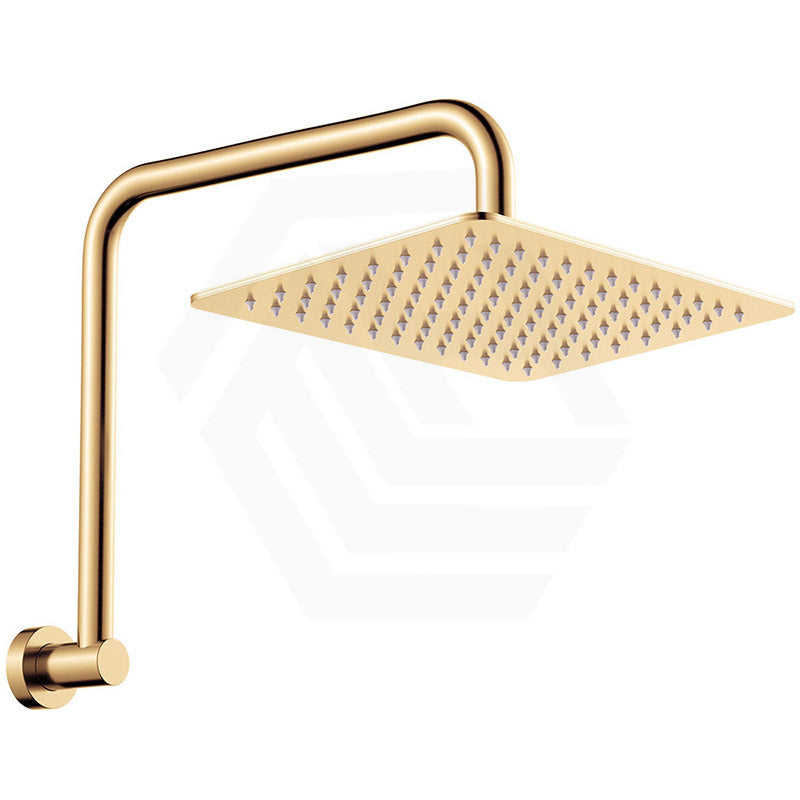 Fienza Tono Gooseneck Stainless Steel Shower Arm Set Variant Colour Available