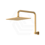 Fienza Tono Gooseneck Stainless Steel Shower Arm Set Variant Colour Available