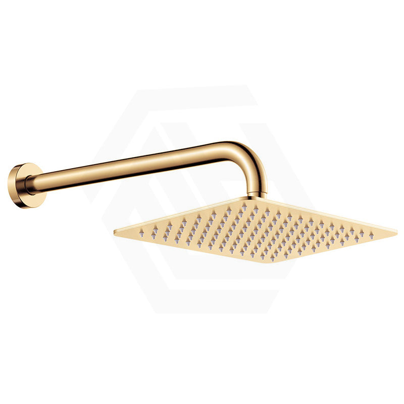 Fienza Tono Stainless Steel Wall Mounted Shower Arm Set Variant Colour Available