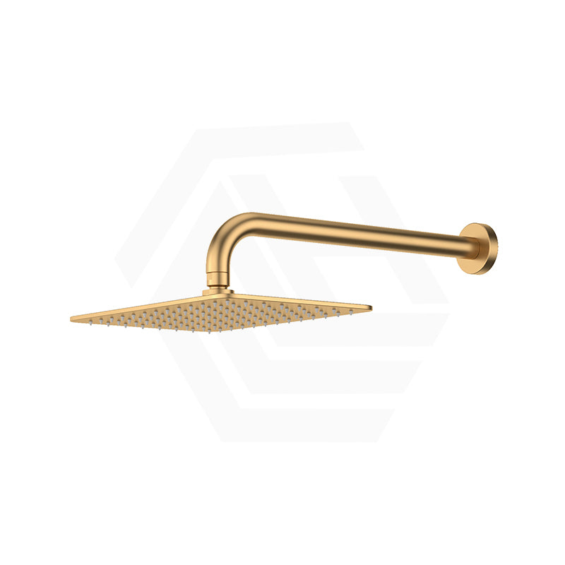 Fienza Tono Stainless Steel Wall Mounted Shower Arm Set Variant Colour Available