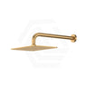 Fienza Tono Stainless Steel Wall Mounted Shower Arm Set Variant Colour Available