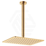 Fienza Tono Stainless Steel Ceiling Shower Arm Set Variant Colour Available