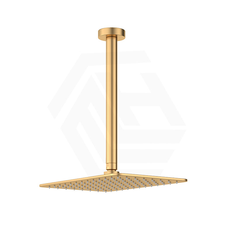 Fienza Tono Stainless Steel Ceiling Shower Arm Set Variant Colour Available