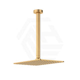 Fienza Tono Stainless Steel Ceiling Shower Arm Set Variant Colour Available