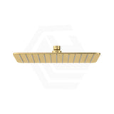 Fienza Koko Stainless Steel Rectangular Shower Head Variant Colour Available