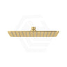 Fienza Koko Stainless Steel Rectangular Shower Head Variant Colour Available