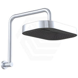 Fienza Kuro Gooseneck Stainless Steel Shower Arm Set - Variant Colour Available