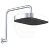 Fienza Kuro Gooseneck Stainless Steel Shower Arm Set - Variant Colour Available