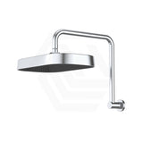 Fienza Kuro Gooseneck Stainless Steel Shower Arm Set - Variant Colour Available