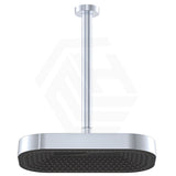Fienza Kuro Stainless Steel Ceiling Shower Arm Set - Variant Colour Available
