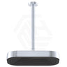 Fienza Kuro Stainless Steel Ceiling Shower Arm Set - Variant Colour Available
