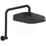 Fienza Kuro Gooseneck Stainless Steel Shower Arm Set - Variant Colour Available