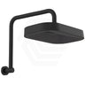 Fienza Kuro Gooseneck Stainless Steel Shower Arm Set - Variant Colour Available