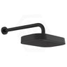 Fienza Kuro Stainless Steel Wall Mounted Shower Arm Set - Variant Colour Available