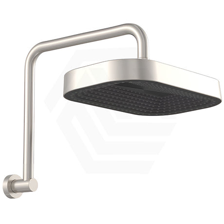 Fienza Kuro Gooseneck Stainless Steel Shower Arm Set - Variant Colour Available