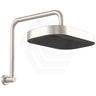 Fienza Kuro Gooseneck Stainless Steel Shower Arm Set - Variant Colour Available