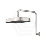 Fienza Kuro Gooseneck Stainless Steel Shower Arm Set - Variant Colour Available