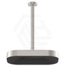 Fienza Kuro Stainless Steel Ceiling Shower Arm Set - Variant Colour Available