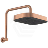 Fienza Kuro Gooseneck Stainless Steel Shower Arm Set - Variant Colour Available