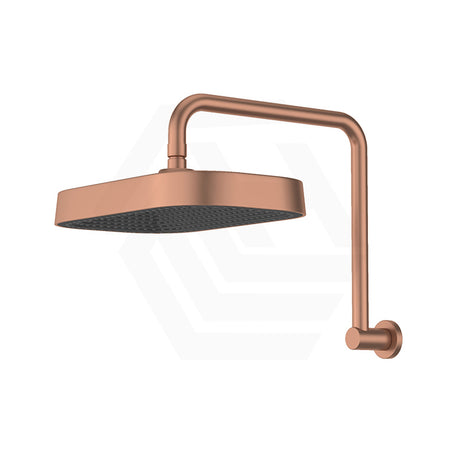 Fienza Kuro Gooseneck Stainless Steel Shower Arm Set - Variant Colour Available