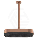 Fienza Kuro Stainless Steel Ceiling Shower Arm Set - Variant Colour Available