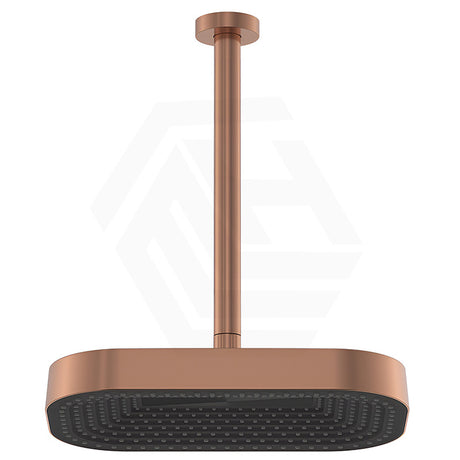 Fienza Kuro Stainless Steel Ceiling Shower Arm Set - Variant Colour Available