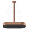 Fienza Kuro Stainless Steel Ceiling Shower Arm Set - Variant Colour Available