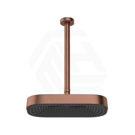 Fienza Kuro Stainless Steel Ceiling Shower Arm Set - Variant Colour Available