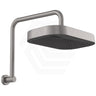 Fienza Kuro Gooseneck Stainless Steel Shower Arm Set - Variant Colour Available