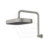 Fienza Kuro Gooseneck Stainless Steel Shower Arm Set - Variant Colour Available