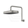 Fienza Kuro Gooseneck Stainless Steel Shower Arm Set - Variant Colour Available