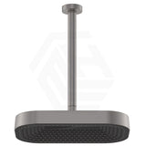 Fienza Kuro Stainless Steel Ceiling Shower Arm Set - Variant Colour Available