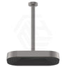 Fienza Kuro Stainless Steel Ceiling Shower Arm Set - Variant Colour Available
