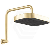 Fienza Kuro Gooseneck Stainless Steel Shower Arm Set - Variant Colour Available