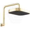 Fienza Kuro Gooseneck Stainless Steel Shower Arm Set - Variant Colour Available
