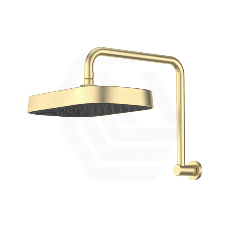 Fienza Kuro Gooseneck Stainless Steel Shower Arm Set - Variant Colour Available