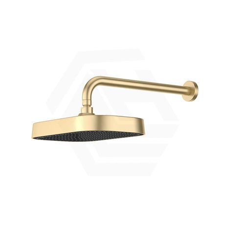 Fienza Kuro Stainless Steel Wall Mounted Shower Arm Set - Variant Colour Available