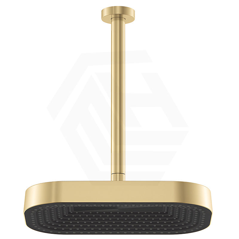 Fienza Kuro Stainless Steel Ceiling Shower Arm Set - Variant Colour Available