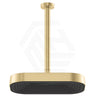 Fienza Kuro Stainless Steel Ceiling Shower Arm Set - Variant Colour Available