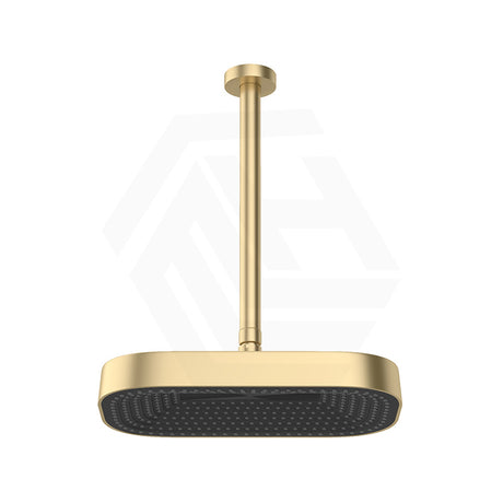 Fienza Kuro Stainless Steel Ceiling Shower Arm Set - Variant Colour Available