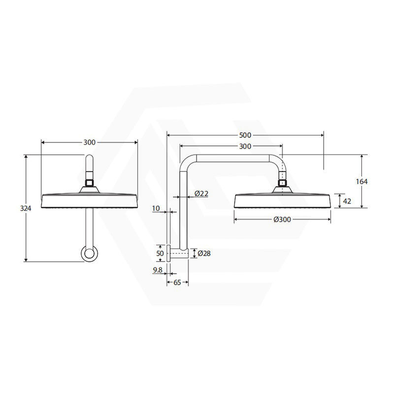 Fienza Kuro Gooseneck Round Shower Arm Set Variant Colour Available