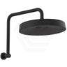 Fienza Kuro Gooseneck Round Shower Arm Set Variant Colour Available