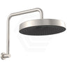 Fienza Kuro Gooseneck Round Shower Arm Set Variant Colour Available