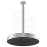 Fienza Kuro Round Stainless Steel Ceiling Shower Arm Set - Variant Colour Available