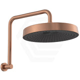 Fienza Kuro Gooseneck Round Shower Arm Set Variant Colour Available