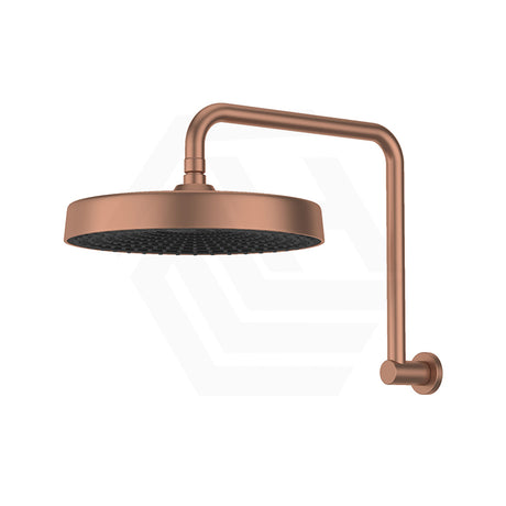 Fienza Kuro Gooseneck Round Shower Arm Set Variant Colour Available