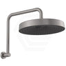 Fienza Kuro Gooseneck Round Shower Arm Set Variant Colour Available