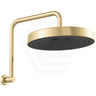 Fienza Kuro Gooseneck Round Shower Arm Set Variant Colour Available