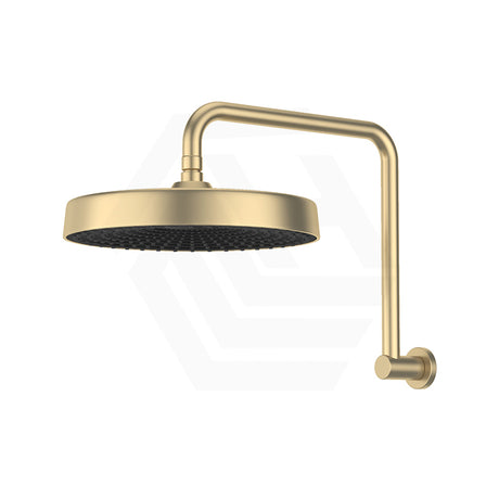 Fienza Kuro Gooseneck Round Shower Arm Set Variant Colour Available